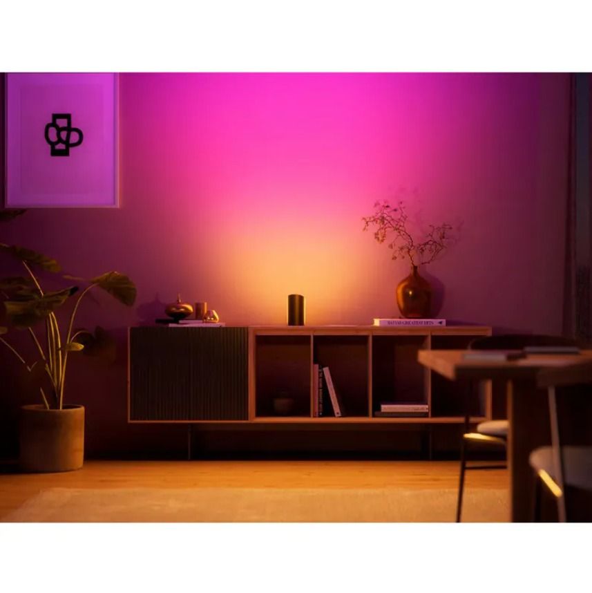 現貨｜Philips - Hue Play Wall Washer 智能氣氛燈 (黑色2件裝)【香港行貨｜約1個工作日內寄出】