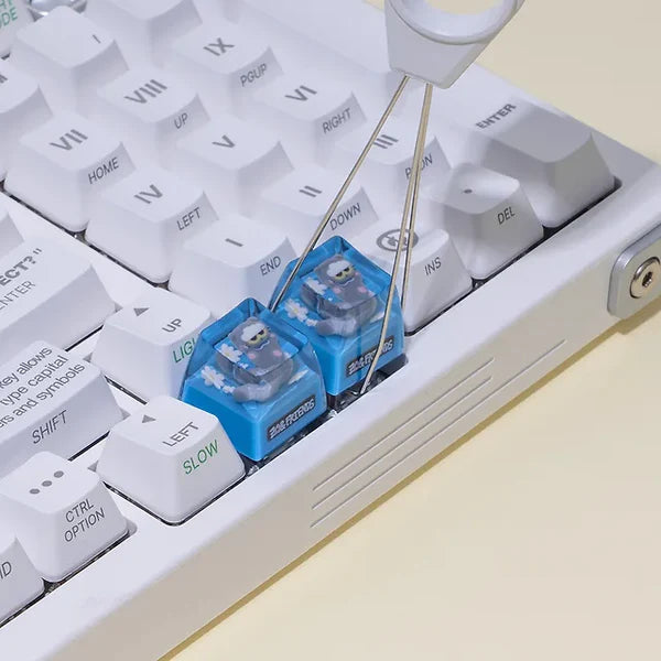現貨｜Zo&Friends - ZOA Resin Keycap 透光樹脂鍵帽 (附收納盒)【約1個工作日內寄出】